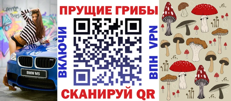 Псилоцибиновые грибы Psilocybine cubensis  цены   Кувшиново 